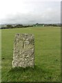 SX4873 : Old Boundary Marker on the boundary of the Tavistock Cricket Club on Whitchurch Down by T Jenkinson