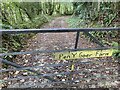 Gate and track leading to Pen y Gaer Farm