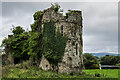 S1213 : Castles of Munster: Newcastle, Tipperary  (2) by Mike Searle