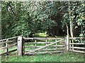 NY8581 : Gate on footpath as it enters Garret Hott Wood by Philip Cornwall