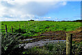 A muddy field, Drumnakilly