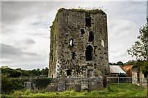 R4569 : Castles of Munster: Rossroe, Clare  (2) by Mike Searle