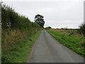 Hedge and fence-lined minor road approaching Virginia Lodge