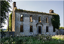 S2754 : Ireland in Ruins Pt III: Littlefield House, Co. Tipperary (1) by Mike Searle