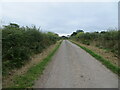 Hedge-lined minor road approaching Oakshaw Hill