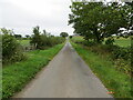 NY4072 : Hedge-lined minor road approaching Heatheryknowe by Peter Wood