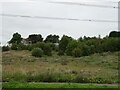 Spare land towards Baillieston Railway Station