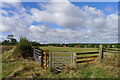 Approaching Pickworth on the Cross Britain Way