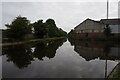 Fens Branch off Stourbridge Canal