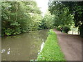 SK1705 : Towpath of the Birmingham & Fazeley canal by Richard Law