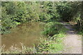 Neath Canal just above footbridge