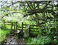 Stile beside the burn