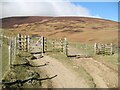 NY2825 : Gates near Whit Beck by Adrian Taylor