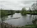 River Ure at Worton Bottoms