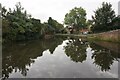 Stourbridge Town Arm Canal