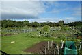 Knapton Allotments