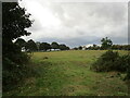 Grass field and Langford Old Hall