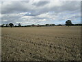 Stubble field and Clay Farm