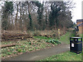 Southern edge of Oakwood Grove local nature reserve, Percy Estate, Warwick