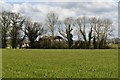 Barn by trees