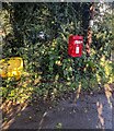 Queen Elizabeth II postbox, Rumble Street, Penpedairheol, Monmouthshire