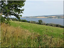 NH5961 : A distant view of Cromarty Bridge by Peter Wood