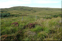 NR8356 : Looking towards Cruach nam Fiadh by Anne Burgess
