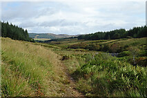 NR8356 : Kintyre Way by Anne Burgess