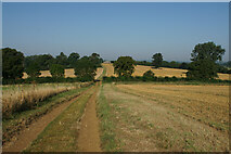SP6504 : The Oxfordshire Way near Albury by Bill Boaden