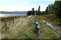 NR7754 : Track beside Loch Ciaran by Anne Burgess