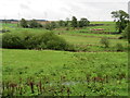 Farmland at Pokeskine