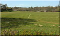 Playing field, Dartington