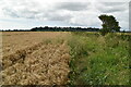 Footpath by Padiam Sewer