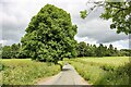 Marchwiel Hall Lane near Erddig