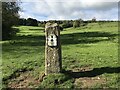 SO8509 : Cotswold Way (just under) halfway marker post by don cload