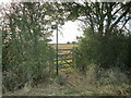 The beginning of a bridleway to Billesdon