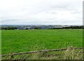 Grazing field next to Medomsley Road