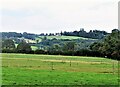 View from Northlands Manor across Kent Ditch valley to Sandhurst Cross