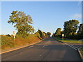 TQ6268 : Main Road, near Longfield Hill by Malc McDonald