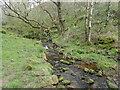 Back Brook heading for Upper Hulme