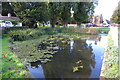 Northill village pond