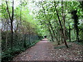 The Rea Valley Cycle Route No.5 in a wooded section near Kings Norton