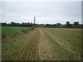 Hedgerow and field of stubble