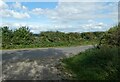 Looking from the Peddars Way onto the Illington Road