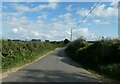 TL9289 : Looking east-southeast along the Illington Road by Basher Eyre