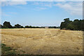 TL7845 : Stubble field near Clare by Des Blenkinsopp