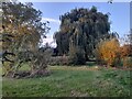 Chestnuts Park, South Tottenham