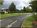 Road in Front of Ludlow Plant Centre