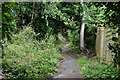 Footpath to Pennington Rd