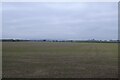 SE4776 : Fields near Hutton Sessay by DS Pugh